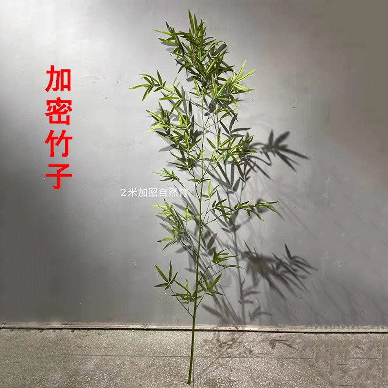仿真竹子室内装饰真加密过胶叶细水假竹外景观挡墙造景加密绿植