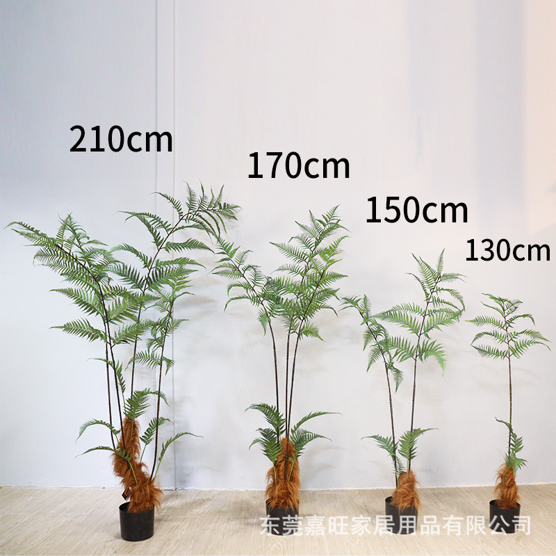 软装造景设计仿真假树猴头蕨室内植物仿生绿植金丝撅庭院装饰盆栽
