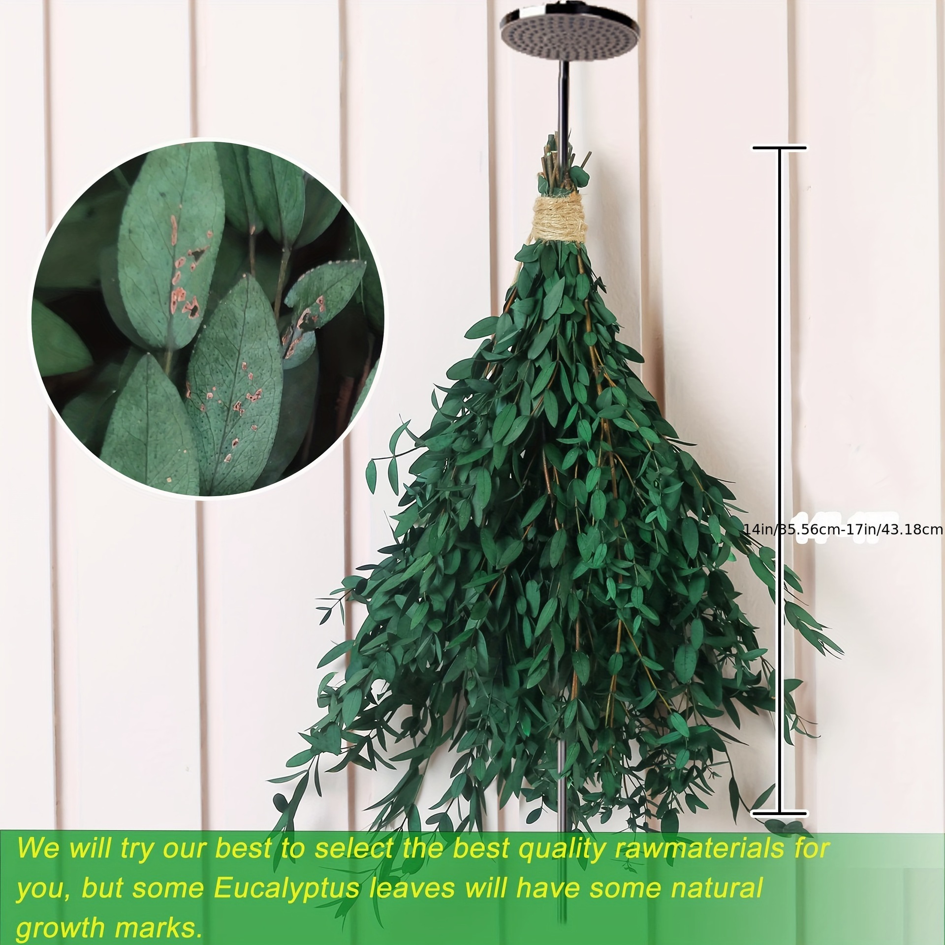 爆款永生花桉树干花花束叶尤加利