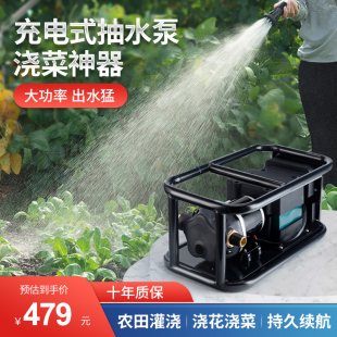 充电式抽水泵浇菜神器浇水机浇菜机家用抽水机抗旱浇地淋菜地户外