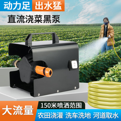 抽水泵浇菜灌溉48v60v直流充电式