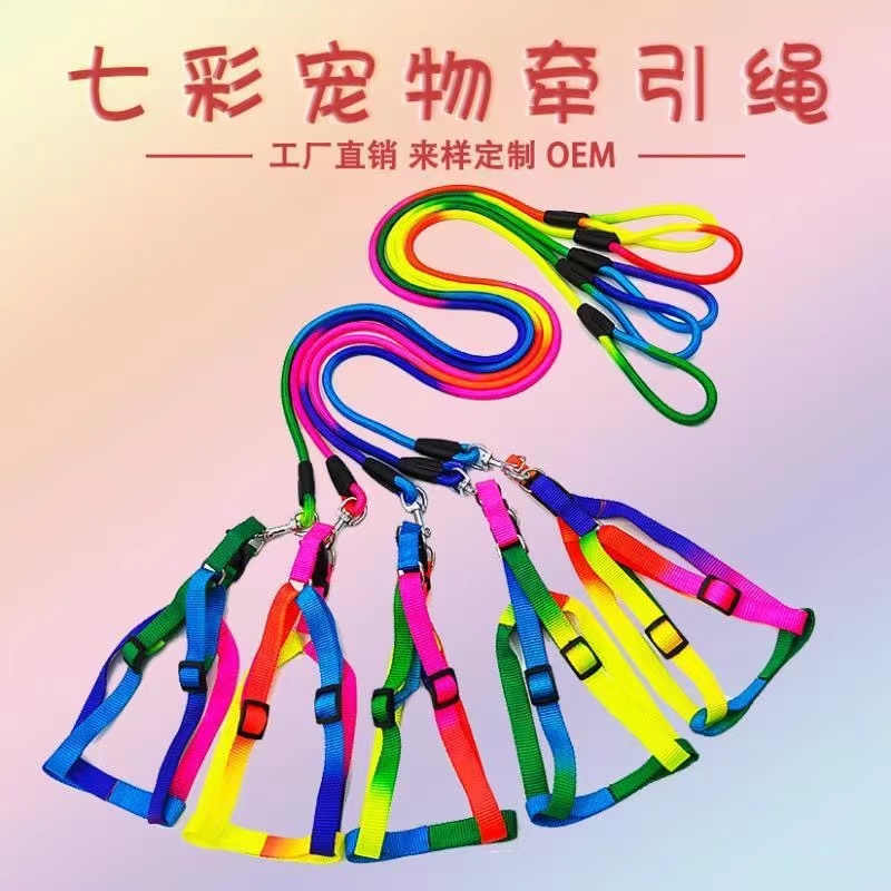遛狗绳狗绳子小泰迪狗狗牵引绳狗链子幼犬小型犬栓溜牵狗绳可调节