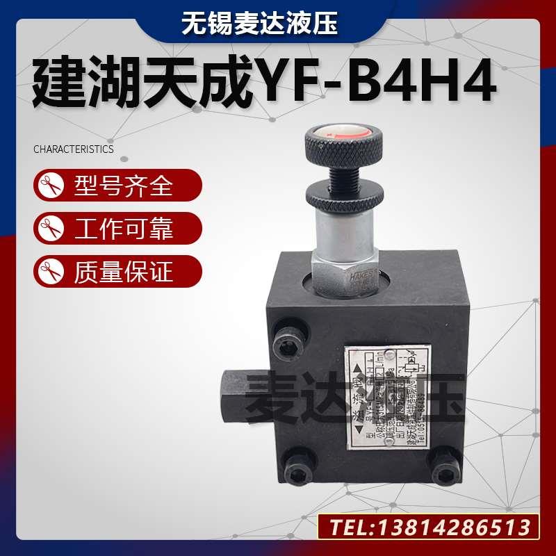 建湖天成液压YF-B4H4 YF-B8H4 YF-B10H4 A1Y-Ha10L 溢流阀 电磁阀