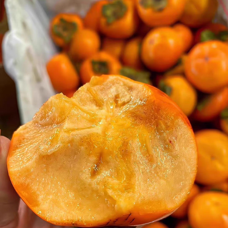 山东次朗布丁脆柿 应季现摘纯甜无涩感 5斤装 削皮吃