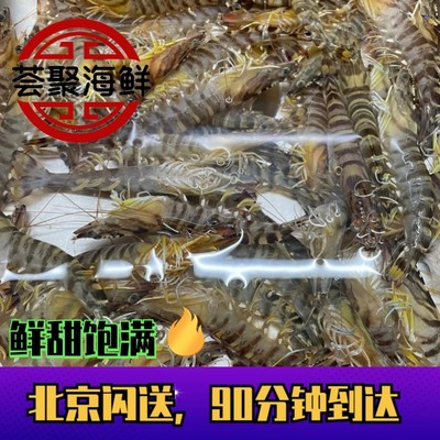 500g北京闪送 鲜活基围虾 新鲜水产活虾明虾九节虾竹节虾斑节虾