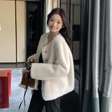 小香风仿水水貂绒短外套女秋冬仿羊羔毛绒上衣爆款气质流行加厚，女装短外套，浙宝095(原288A)