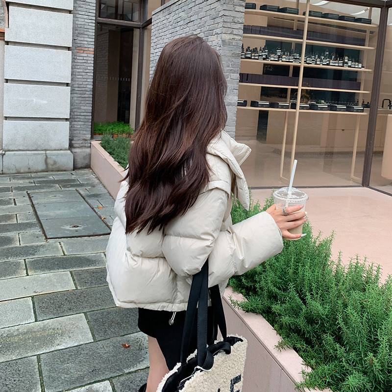 【档口现货】2023新款短款白鸭绒羽绒服面包服095-971-P215-K318,女装羽绒服,浙宝095(原288A)