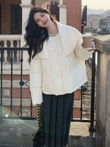 【主推 现货】2023新款太空棉花边领90绒羽绒服095-907 P270 K398图片