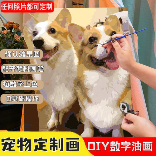 数字油画diy柯基金毛礼物