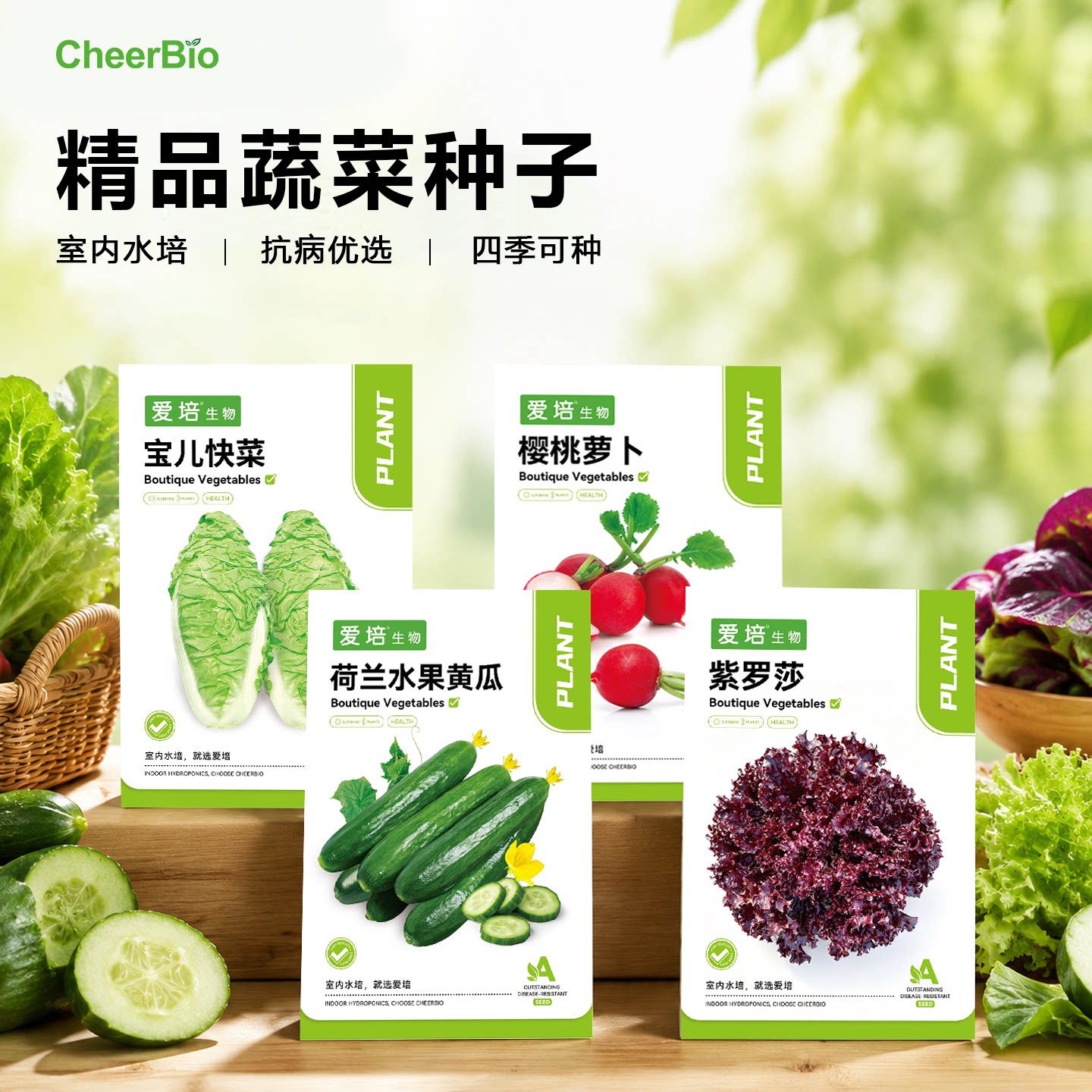 种子蔬菜瓜果爱培生物发芽率高