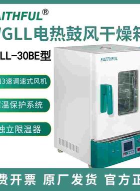 菲斯福 WGLL-125BE电热鼓风干燥箱 干燥烘焙熔蜡热处理