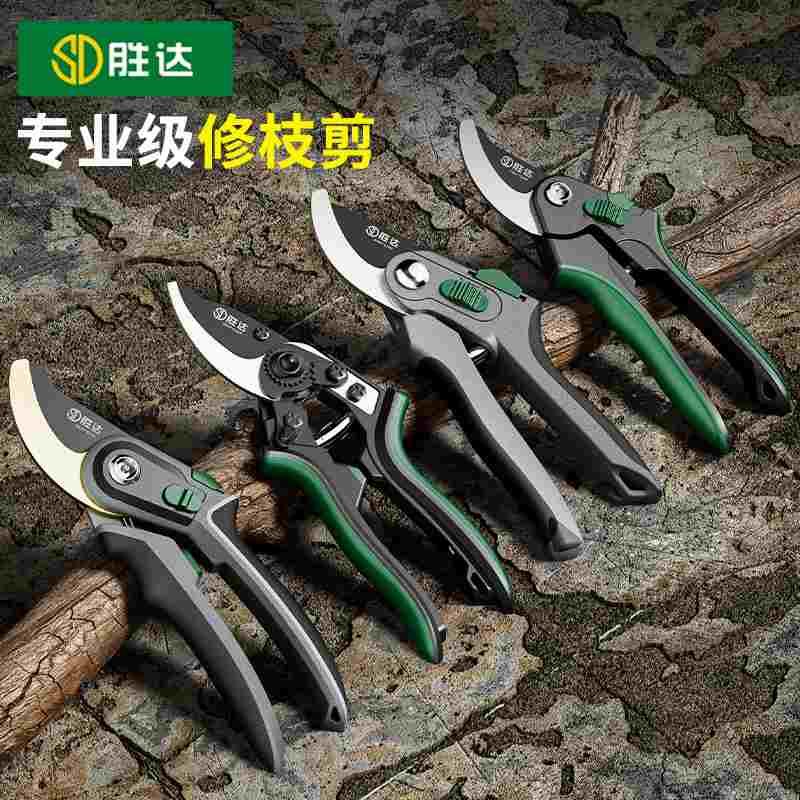 剪树枝专用剪刀修枝剪果树剪园艺剪花艺枝条修剪园林粗枝剪刀 S