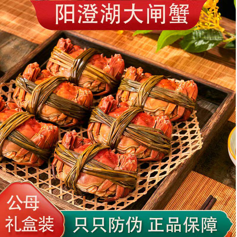 鲜活大闸蟹现货黄多肉多
