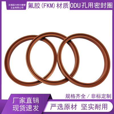 LTULIIE氟胶ODU孔用密封圈厂家