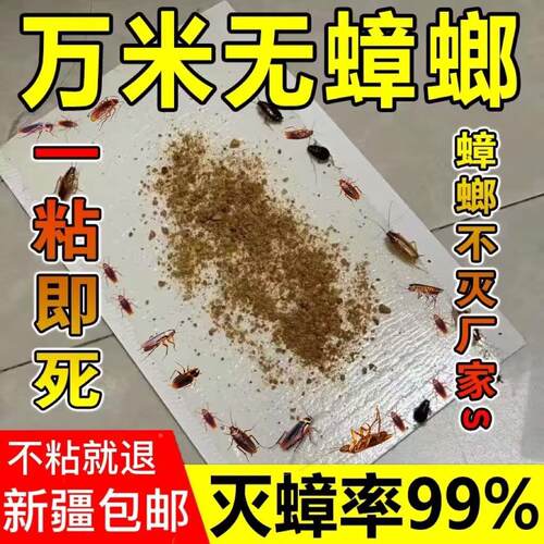 新疆包邮蟑螂药家用物理引诱捕蟑螂贴强力粘蟑螂板纸厨房灭蟑螂板