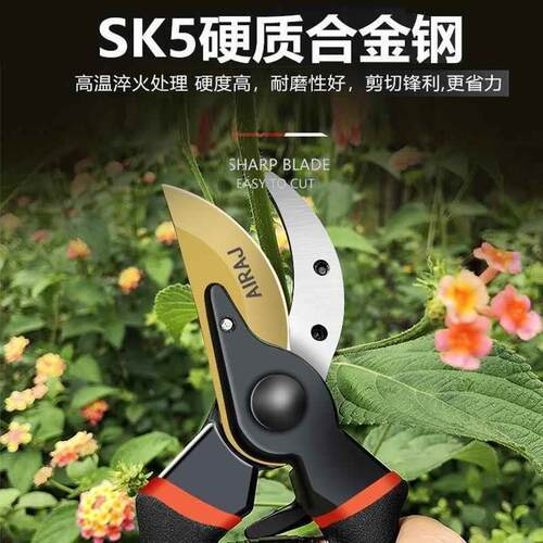 德国精工艺园剪刀剪树枝专用剪刀修枝剪园林果树修花家用sk5剪子