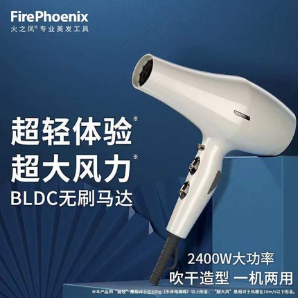火之凤6200H电吹风机2400W大功率机理发店发型师发廊专用无刷电