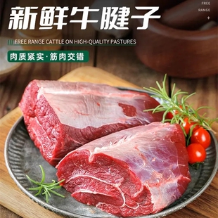 宁夏西吉清真热销原切鲜牛肉现货直发牛腱子肉质紧实无拼接