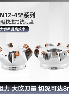 45度快进给低阻力开粗面铣刀盘 双面八刃SNMX120512 SNEU1206刀片