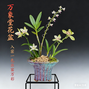 精品兰花盆悬崖桩多肉绿植盆栽紫砂钧瓷高温窑变釉盆景花盆