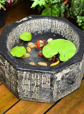 院小花园阳台户外鱼池造景摆件鱼缸彷石槽水景ECA庭观小院天台布