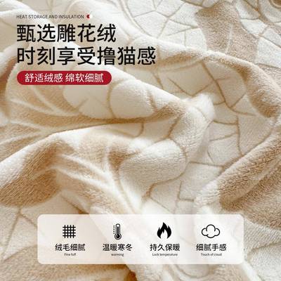 冬季毛绒牛奶X2025110床单单件单2025新宿款舍绒人加绒被单枕套三