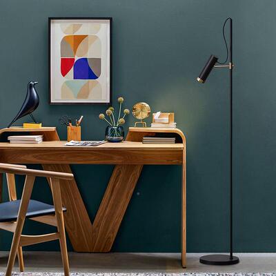 落地灯客卧室简约现代立用式台灯厅北欧60512头创意家钓鱼ins风床