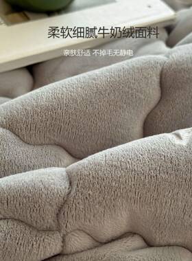 225新款0牛睡绒奶床单宿舍单人学生XST纯色单件裸加厚保暖绒毛毯