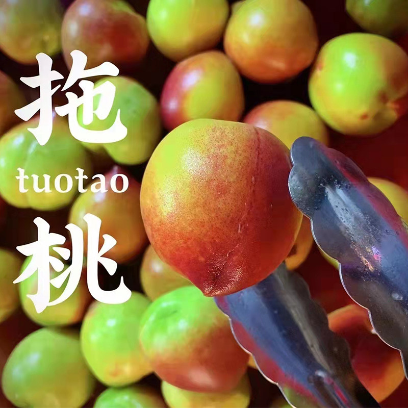 潮汕拖桃梅汁甘草水果当季新鲜卤桃孕妇酸甜脆爽腌制桃子青芒拖李