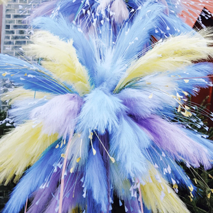 新年婚庆仿真芦苇花烟花孔雀草仿生粉色羽毛白日焰火插花花材装饰