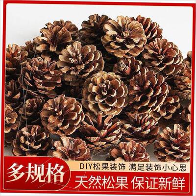 Photo props Handmade materials Christmas pine cones