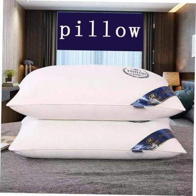 Pillow Healthy pillows feather velvet hotel pillow for bed