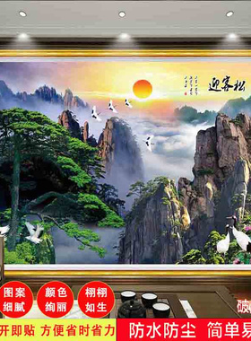 客厅可以定做防水抗污自带背胶
