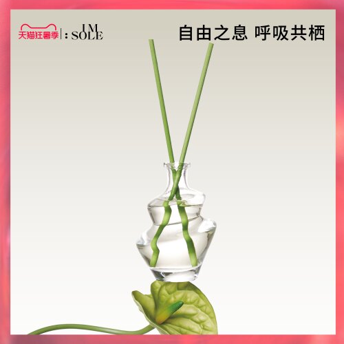 IMSOLE不定所无火香薰