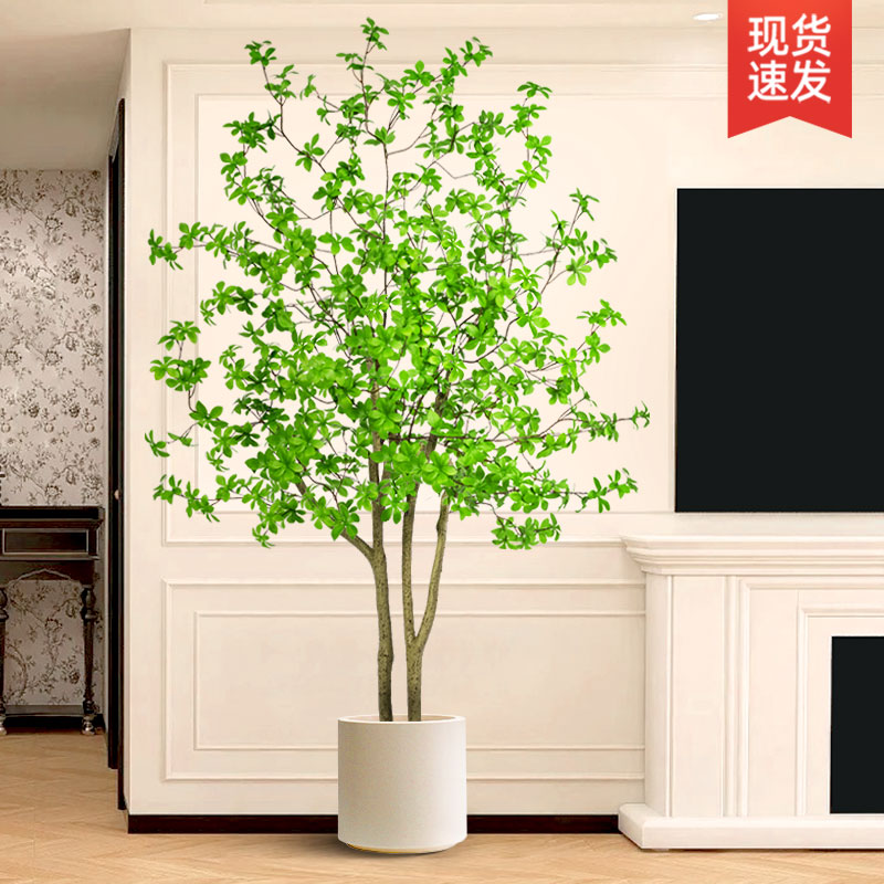 彷真绿色植物吊钟树马醉木彷生盆栽电视柜装饰摆饰客厅高端轻奢假