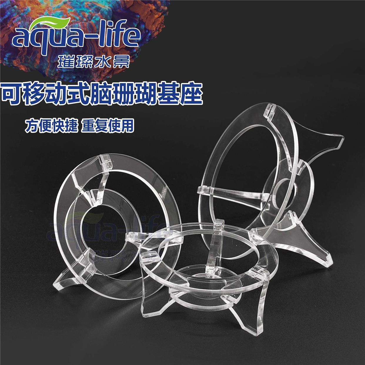脑类珊瑚基座底座富士脑珊瑚基座培育繁殖珊瑚底座小中大号亚克力