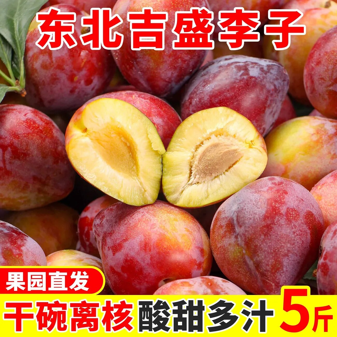 东北李子桃形李子吉胜干核牛心李子干碗新鲜水果农家现摘现发吉林