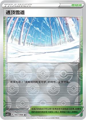 宝可梦简中PTCG打牌卡通顶雪道