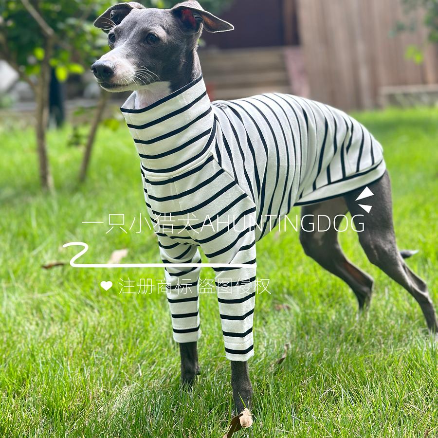 一只小猎犬条纹T恤打底衫精梳棉亲肤透气意大利小灵缇惠比特衣服