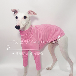 灵缇犬春夏新品纯棉T恤衫好穿意大利小灵缇惠比特贝林顿犬衣服