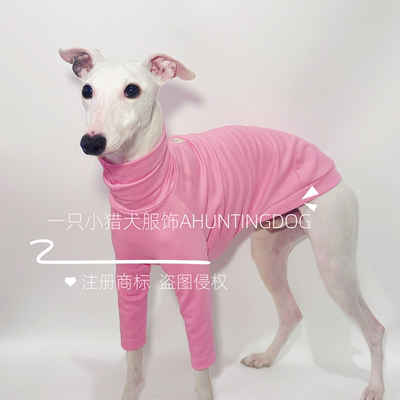 灵缇犬春夏新品纯棉T恤衫好穿意大利小灵缇惠比特贝林顿犬衣服