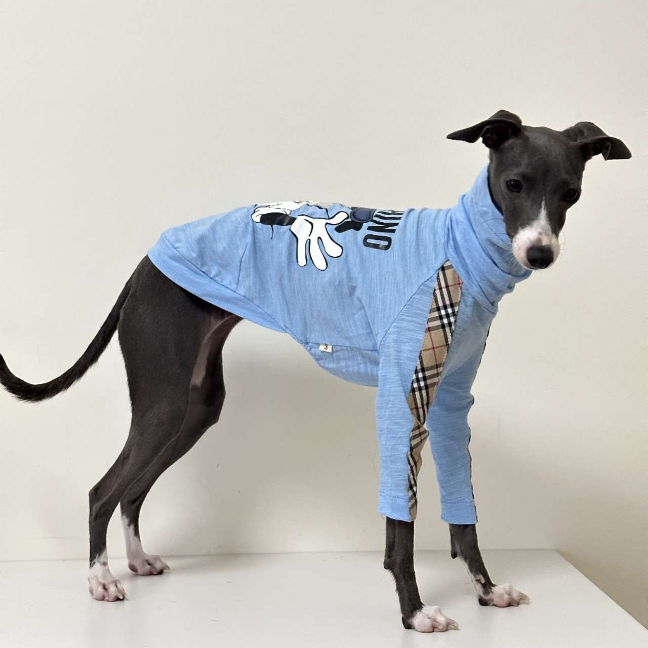 潮牌纯棉t恤背心意大利小灵缇惠比特贝灵顿梗犬细狗衣服