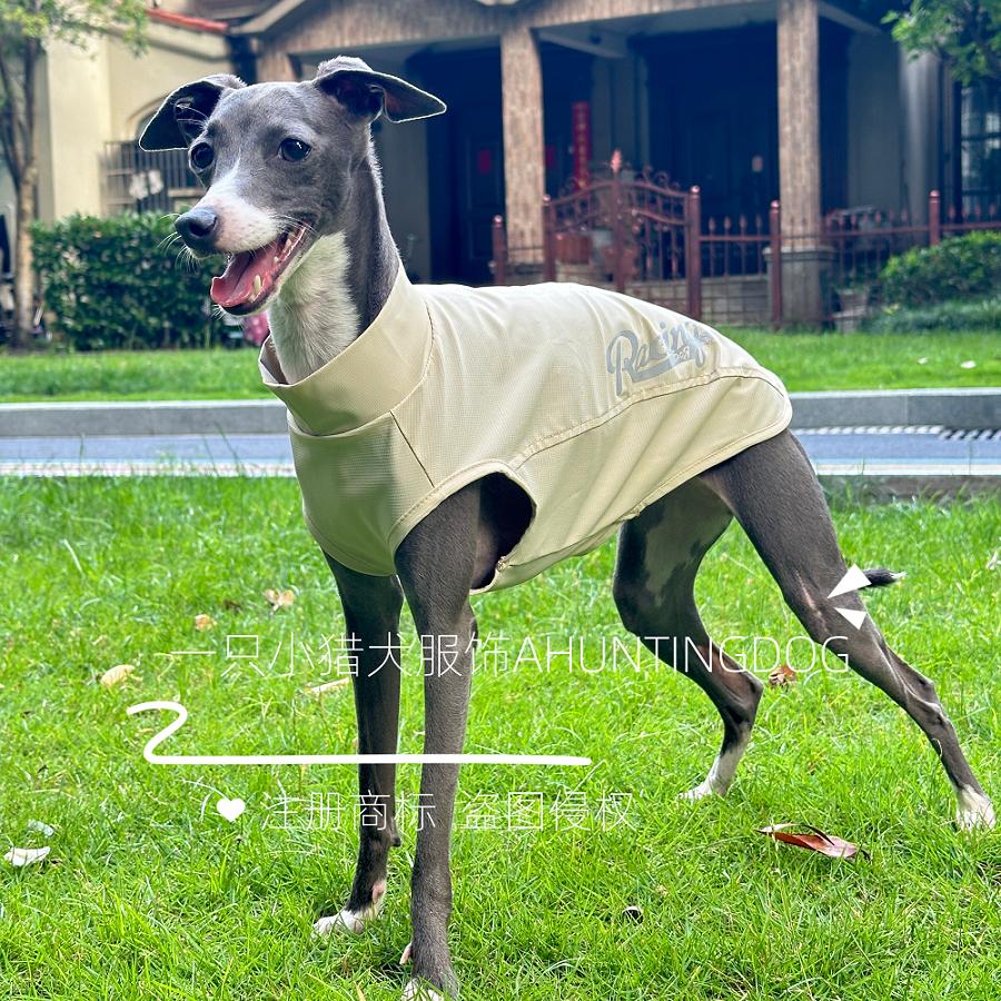 夏季冰感背心暖色系夏季超薄T恤款意大利小灵缇惠比特衣服