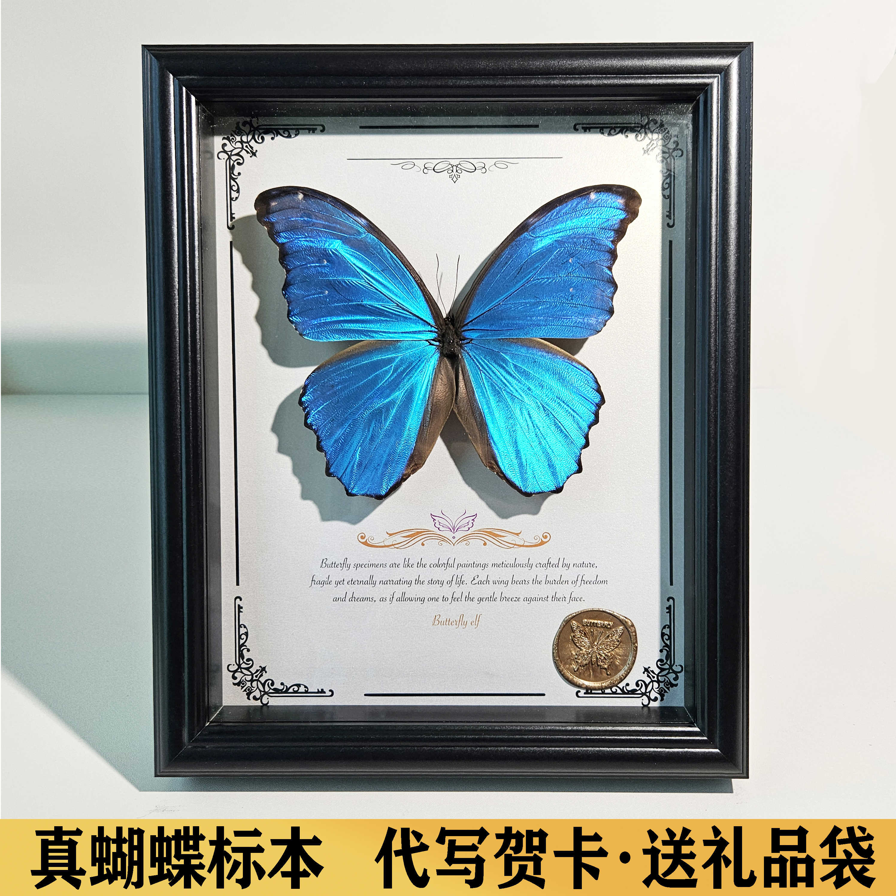 蝴蝶标本男生创意高级感装饰画