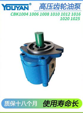 齿轮油泵CBK1008/1004/1006/1010/1012/1016/1020/1025-B1FR-A1FL