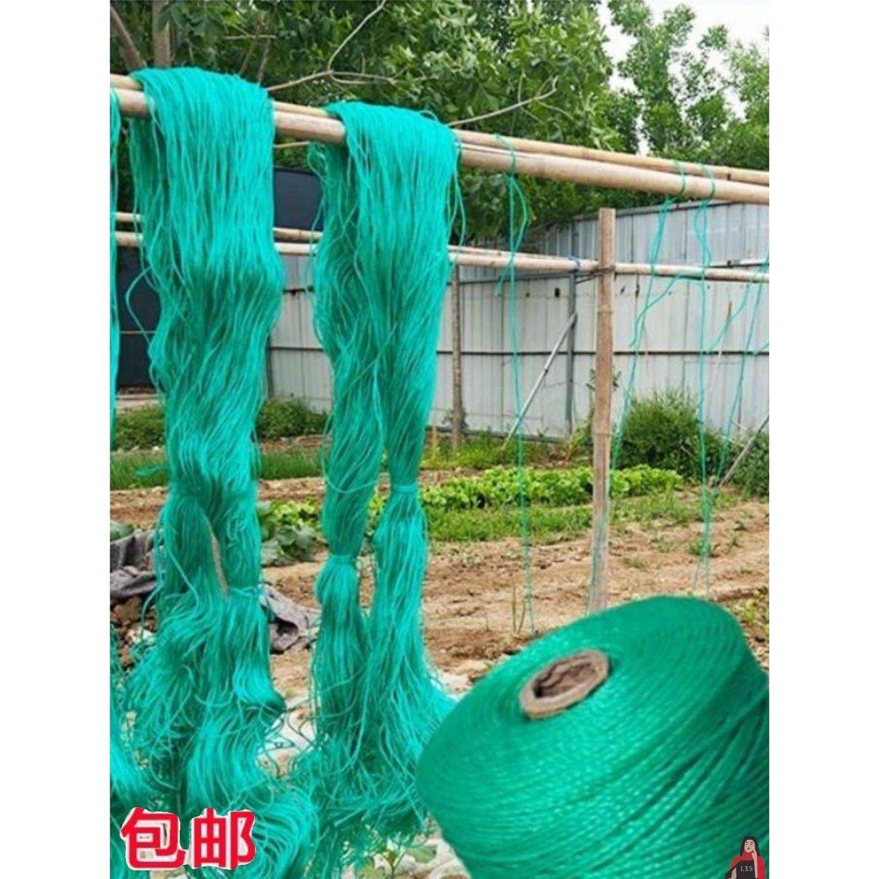 泥龙绳爬藤植物牵引豆角西红柿吊秧黄瓜大棚蔓蔬菜番茄尼网拉农用,搬运/仓储/物流设备,其他起重搬运设备,淘宝优惠券,粉丝福利购,淘宝优惠卷