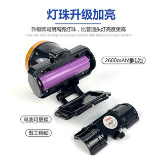 家用户外长续航钓鱼灯 头灯可换电池18650锂电池LED强光充电头戴式