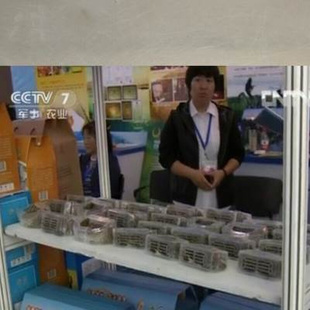 大闸蟹塑料盒礼品盒装螃蟹的礼品盒子蟹包装礼盒大闸蟹礼盒包装盒