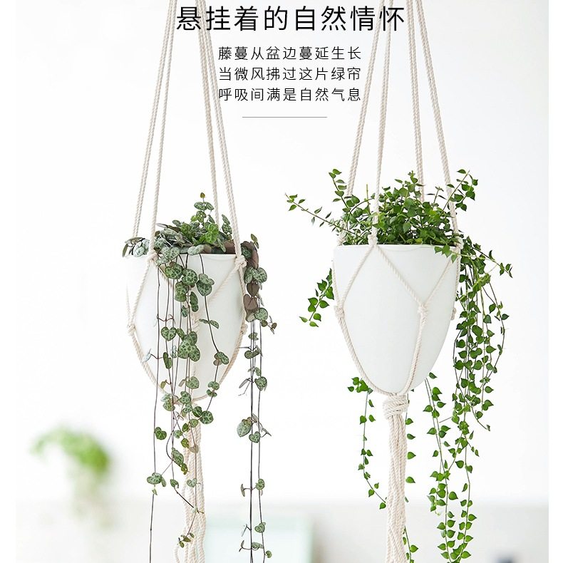 吊盆吊兰花盆悬挂式塑料盆懒人盆绿萝蕨类吊篮阳台自吸水创意垂吊,鲜花速递/花卉仿真/绿植园艺,花盆,淘宝优惠券,粉丝福利购,淘宝优惠卷