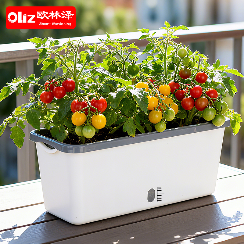 Oliz欧林泽窄边花盆迷你种菜盆阳台窗台种植盆多肉盆双层懒人吸水